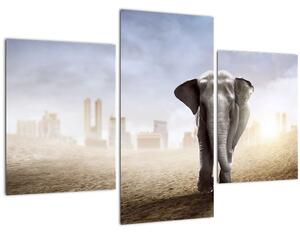 Kép - Elefánt egy nagyvárosban (90x60 cm)