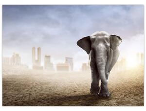 Kép - Elefánt egy nagyvárosban (70x50 cm)