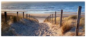 Kép - Út az északi-tengeri strandra, Hollandia (120x50 cm)
