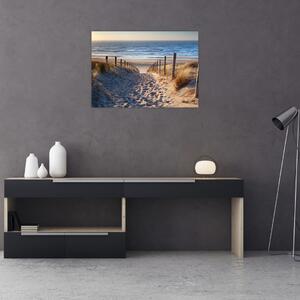 Kép - Út az északi-tengeri strandra, Hollandia (70x50 cm)