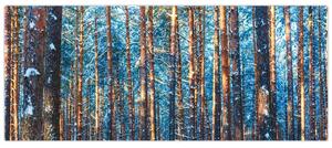 Kép - téli erdő (120x50 cm)