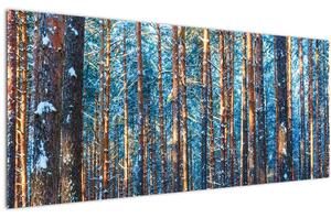 Kép - téli erdő (120x50 cm)