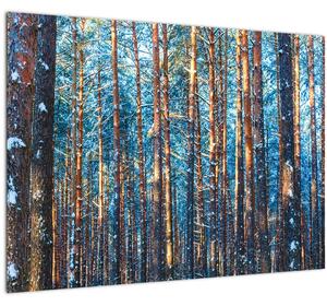 Kép - téli erdő (70x50 cm)