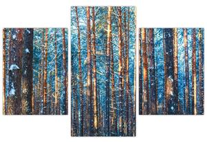 Kép - téli erdő (90x60 cm)