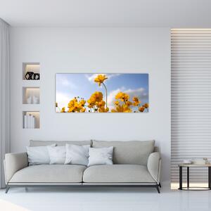 Fényes sárga virágokkal rendelkező mező képe (120x50 cm)