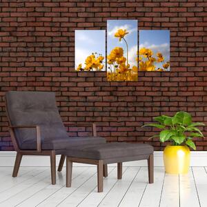 Fényes sárga virágokkal rendelkező mező képe (90x60 cm)
