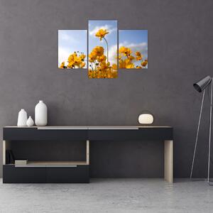 Fényes sárga virágokkal rendelkező mező képe (90x60 cm)