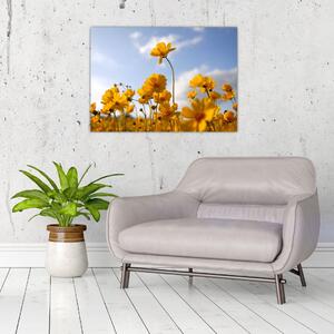 Fényes sárga virágokkal rendelkező mező képe (üvegen) (70x50 cm)