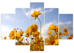 Fényes sárga virágokkal rendelkező mező képe (150x105 cm)