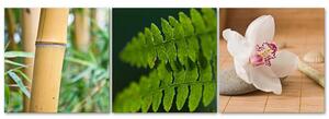 Gario Vászonképek készlet Nyugtató természet - 3 részes Méret: 90 x 30 cm