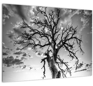 Kép - fekete fehér fa (70x50 cm)