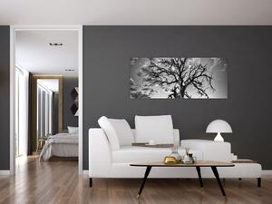 Kép - fekete fehér fa (120x50 cm)