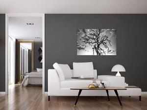 Kép - fekete fehér fa (90x60 cm)