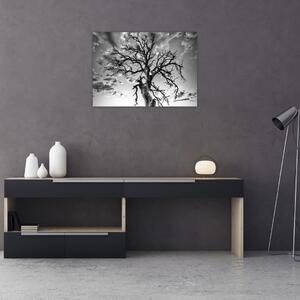 Kép - fekete fehér fa (70x50 cm)