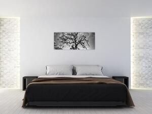Kép - fekete fehér fa (120x50 cm)