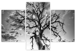 Kép - fekete fehér fa (90x60 cm)