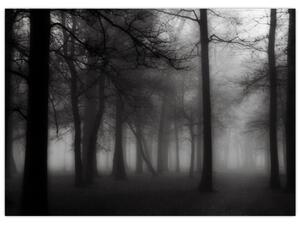 Kép - erdő a ködben (70x50 cm)