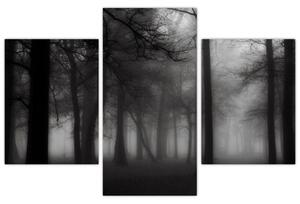 Kép - erdő a ködben (90x60 cm)
