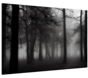 Kép - erdő a ködben (90x60 cm)