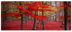 Kép - vörös erdő (120x50 cm)