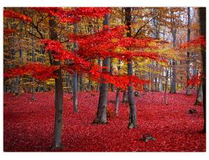 Kép - vörös erdő (70x50 cm)
