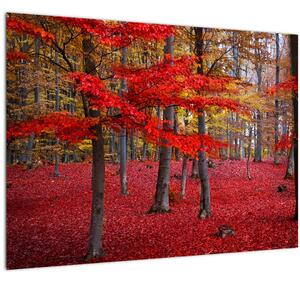 Kép - vörös erdő (70x50 cm)