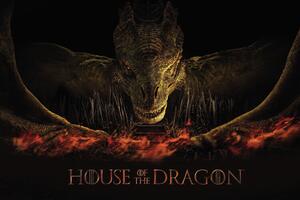 Művészi plakát House of the Dragon - Dragon's fire, (40 x 26.7 cm)