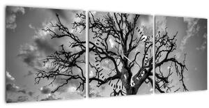 Kép - fekete fehér fa (órával) (90x30 cm)