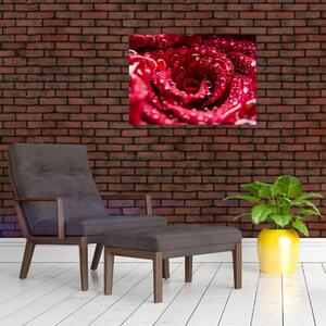 Vörös rózsa virágzata képe (üvegen) (70x50 cm)