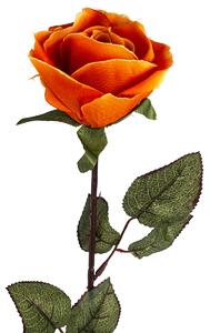 Művirág - Nagyvirágú rózsa, 72 cm, narancssárga