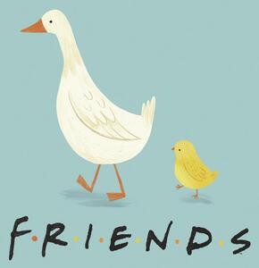 Művészi plakát Friends - Chick and duck, (40 x 40 cm)