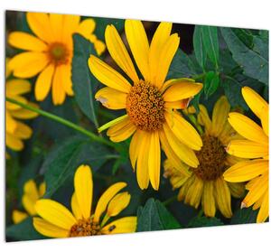 Sárga virágok képe (üvegen) (70x50 cm)