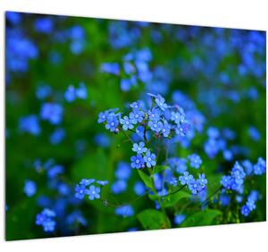 A kék virágok képe (üvegen) (70x50 cm)