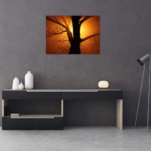 Kép egy fáról naplementekor (üvegen) (70x50 cm)