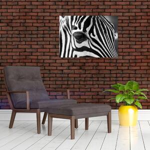 Zebra képe (üvegen) (70x50 cm)