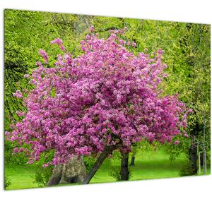 A réten virágzó fa képe (üvegen) (70x50 cm)