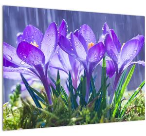 Virágok az esőben képe (üvegen) (70x50 cm)