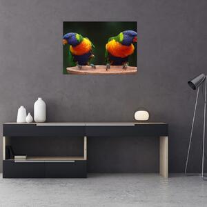 Papagájok képe (üvegen) (70x50 cm)