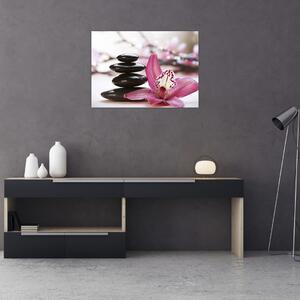 Masszázs kövek és orchideák képe (üvegen) (70x50 cm)