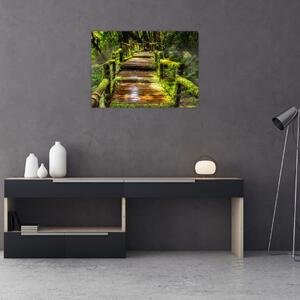 Lépcső az esőerdőben képe (üvegen) (70x50 cm)