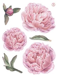 Falmatrica Rózsaszín pünkösdi rózsa