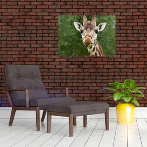 Egy zsiráf képe (üvegen) (70x50 cm)