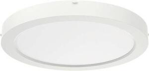 RIDI (322094) (322094) LED-es mennyezeti lámpa LED Fehér