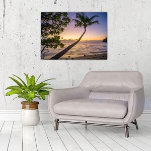 Kép a pálmafa a tengerparton (üvegen) (70x50 cm)