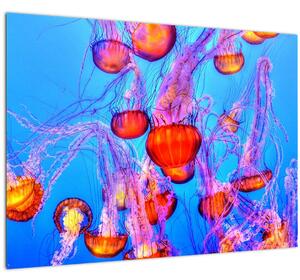 Medúza a tengerben képe (üvegen) (70x50 cm)