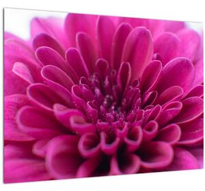 Virágos kép (üvegen) (70x50 cm)