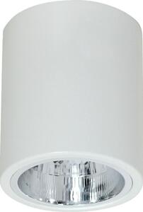 Lampa sufitowa Luminex Plafon natynkowy Downlight 12,5 cm biały