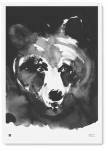 Teemu Järvi Poszter medve motívummal – Mysterious Bear, 50x70 cm