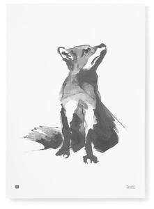 Teemu Järvi Poszter vörös róka motívummal – Red Fox, 50x70 cm