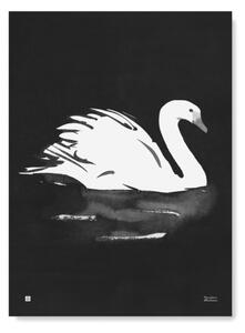 Teemu Järvi Hattyú motívumos poszter – Swan, 50x70 cm